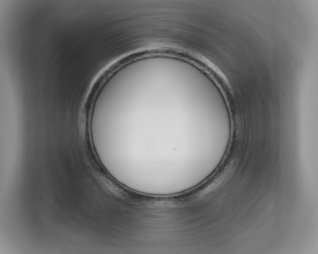 X0000112541021200908171201