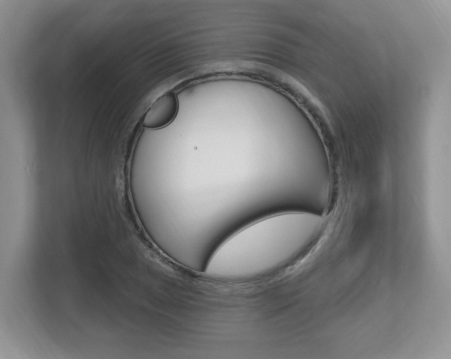 X0000112541025200908171201