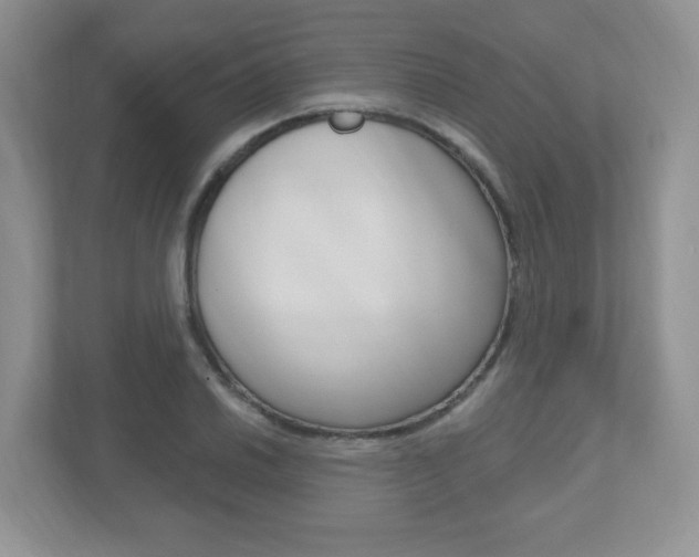 X0000112541030200908171201