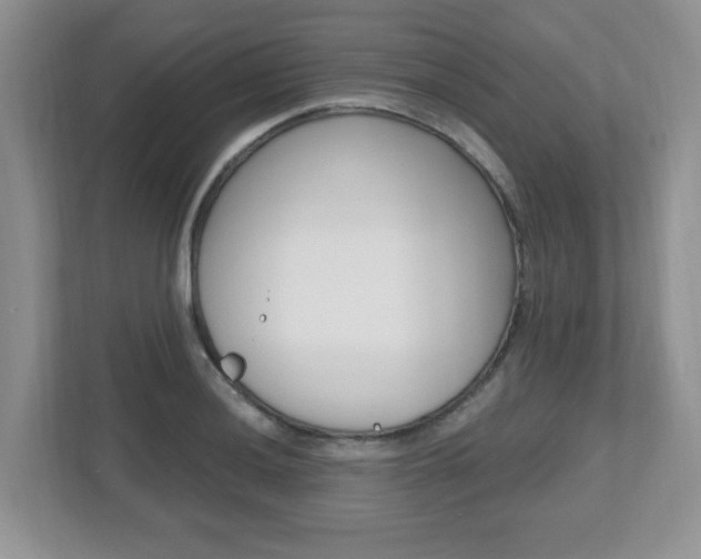 X0000112541036200908171201