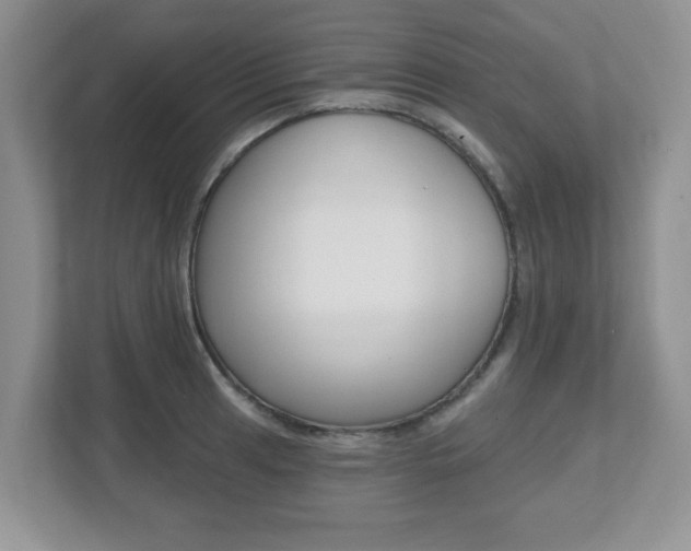 X0000112541041200908171202