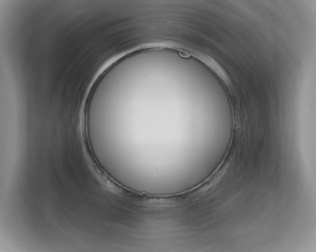 X0000112541044200908171202