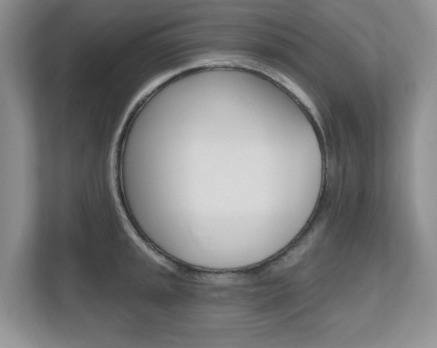 X0000112541045200908171202