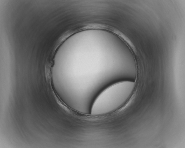 X0000112541049200908171202