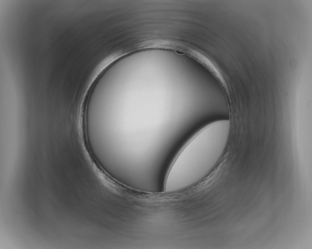 X0000112541050200908171202
