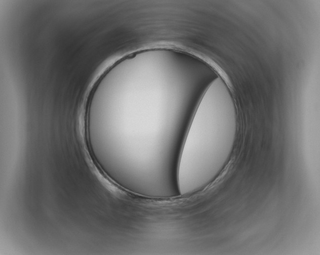 X0000112541054200908171202