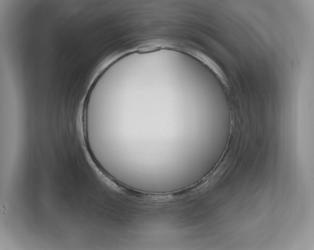 X0000112541055200908171202