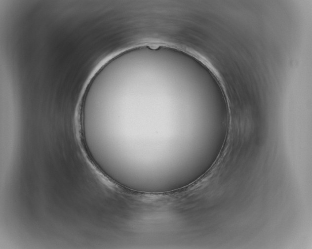 X0000112541056200908171202