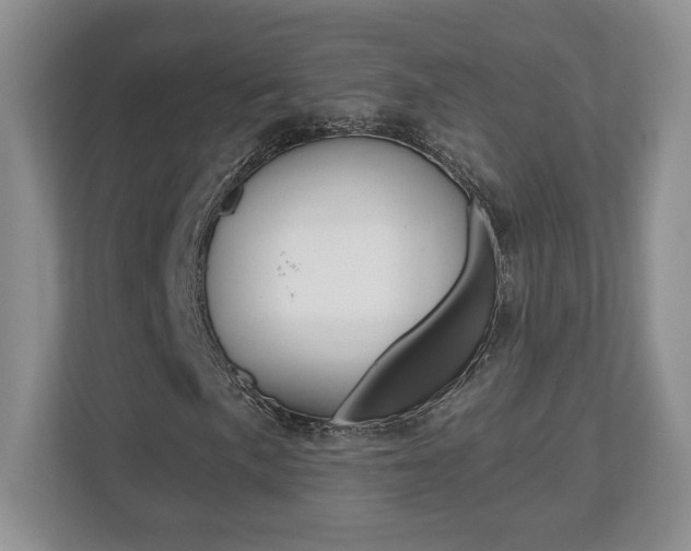 X0000112541057200908171201