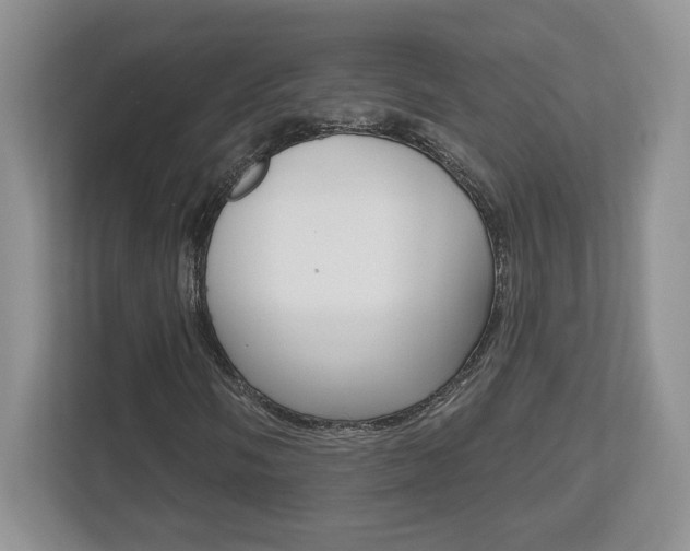 X0000112541058200908171201