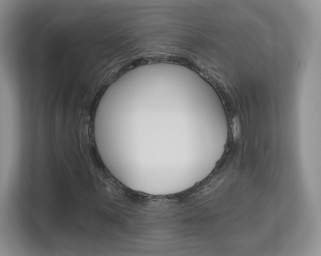 X0000112541059200908171201
