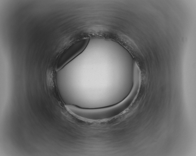 X0000112541060200908171201
