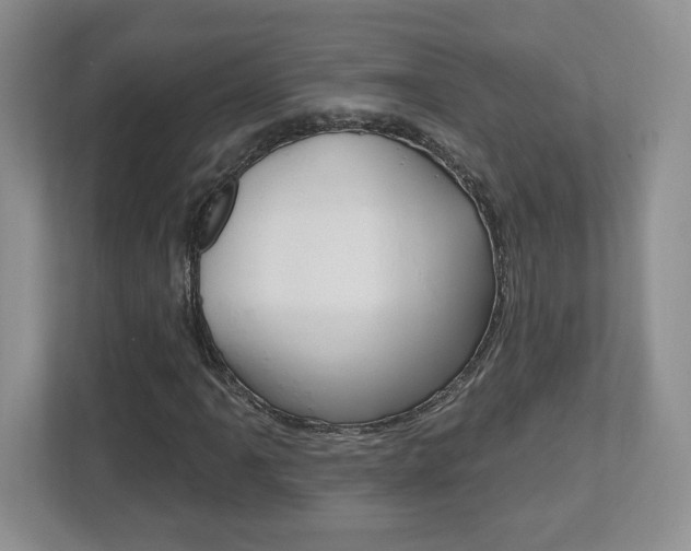 X0000112541061200908171201