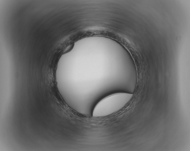 X0000112541062200908171201