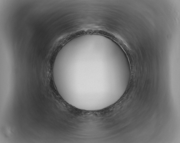 X0000112541063200908171201