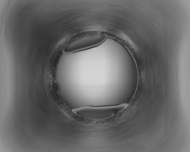 X0000112541064200908171201
