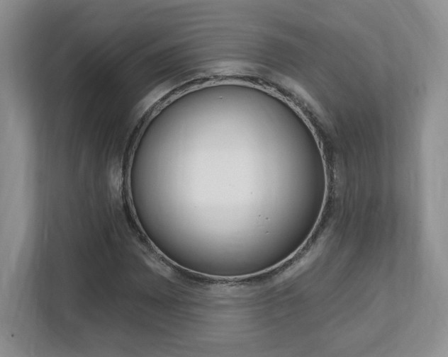 X0000112541065200908171201
