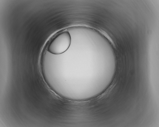 X0000112541068200908171201