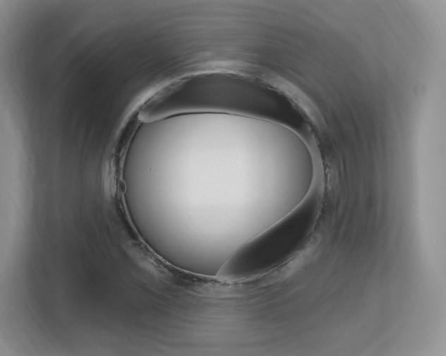X0000112541069200908171201