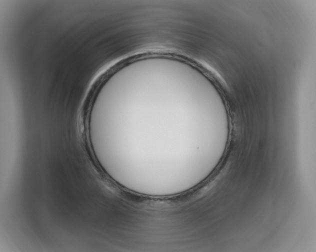 X0000112541070200908171201