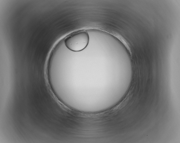 X0000112541072200908171201