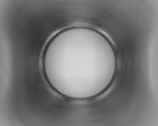 X0000112541074200908171201