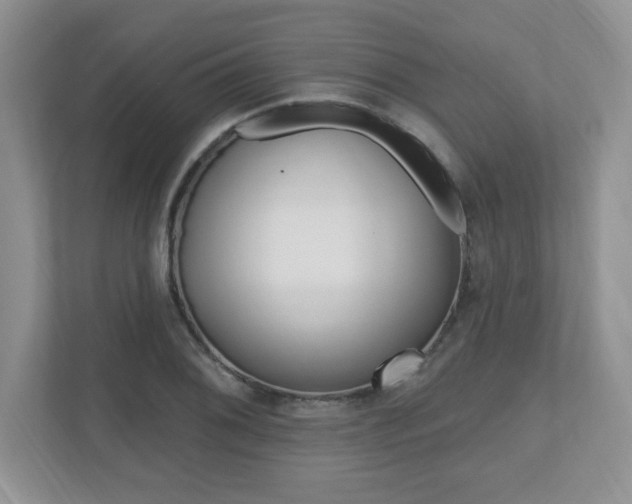 X0000112541076200908171201