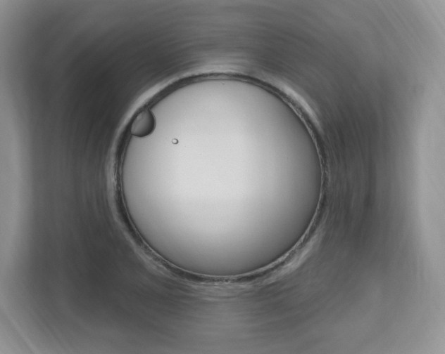 X0000112541077200908171201