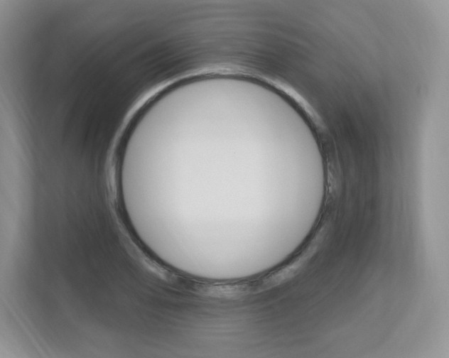X0000112541078200908171201