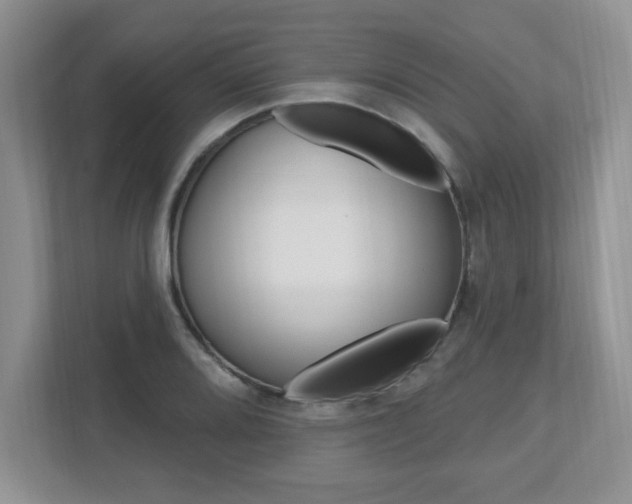 X0000112541080200908171201