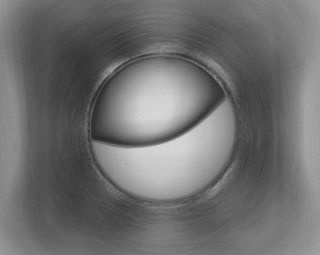 X0000112541081200908171201