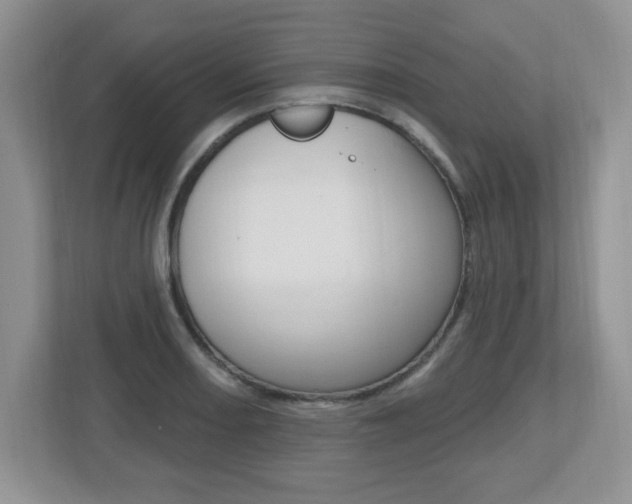 X0000112541082200908171201
