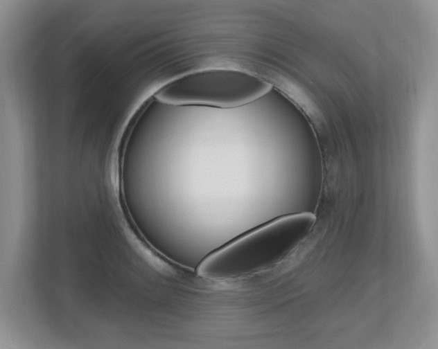 X0000112541084200908171201