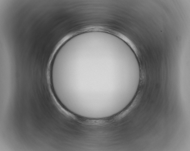 X0000112541090200908171201