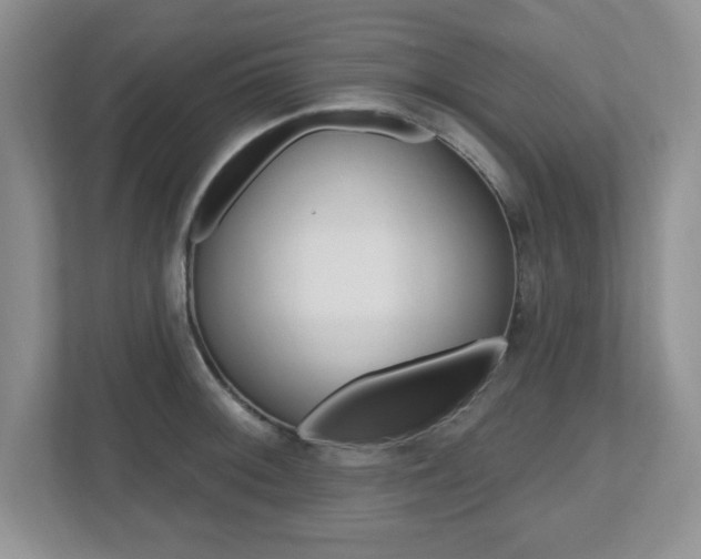 X0000112541092200908171201