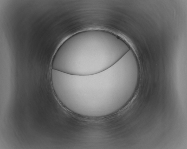X0000112541097200908171200