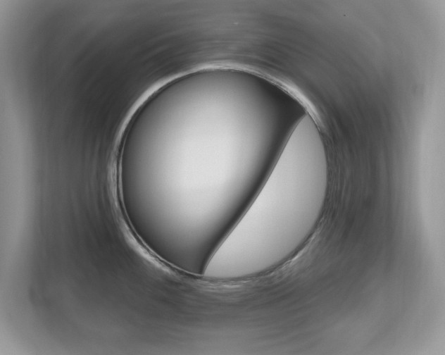 X0000112541100200908171200