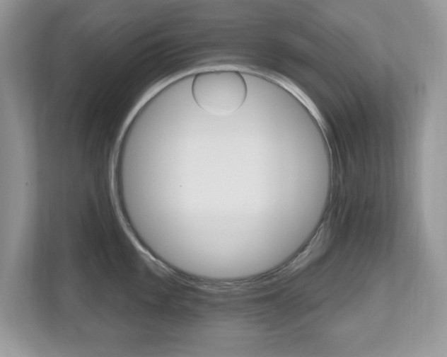 X0000112541101200908171200