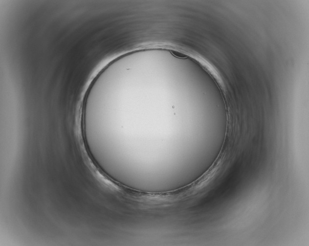X0000112541102200908171200