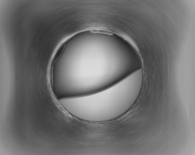 X0000112541104200908171200
