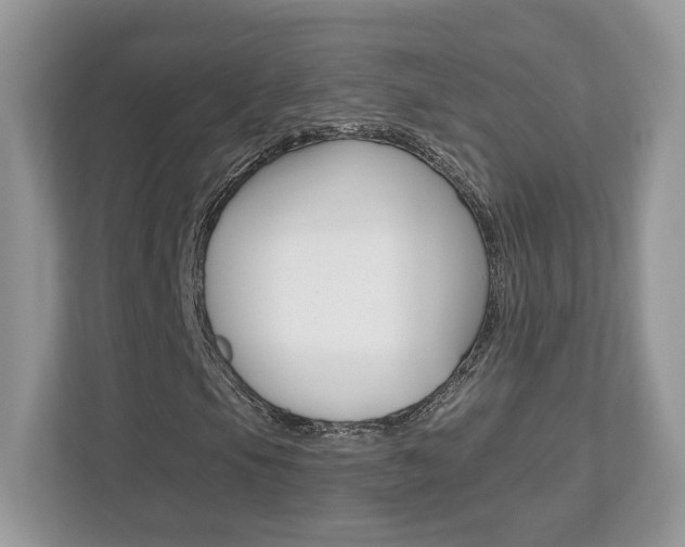 X0000112541105200908171200