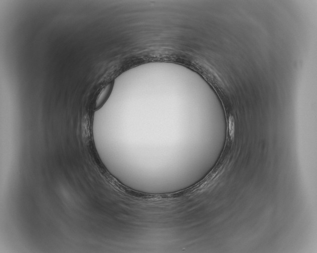 X0000112541107200908171200
