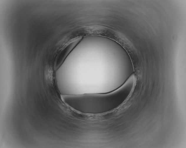 X0000112541108200908171200