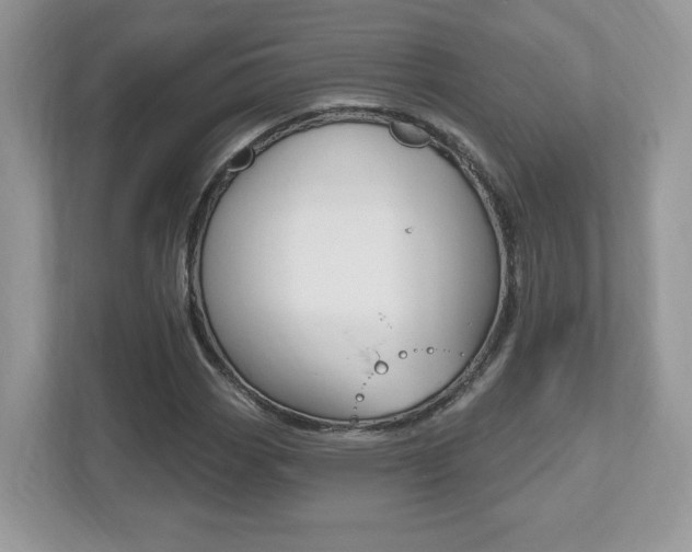 X0000112541113200908171200