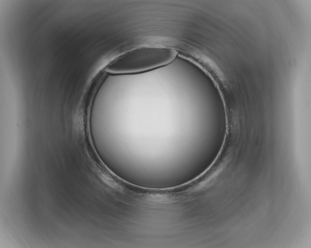 X0000112541114200908171200