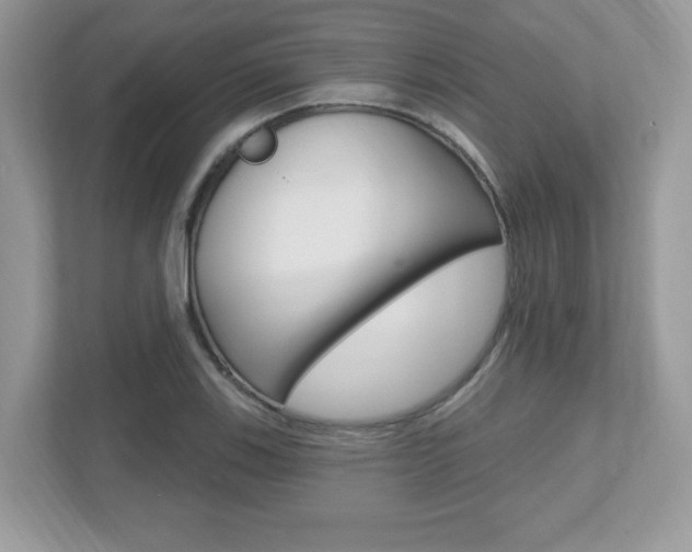X0000112541123200908171200