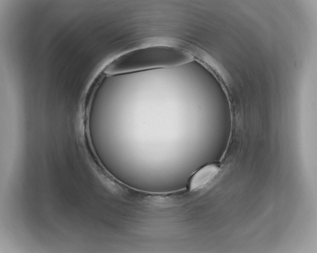 X0000112541124200908171200