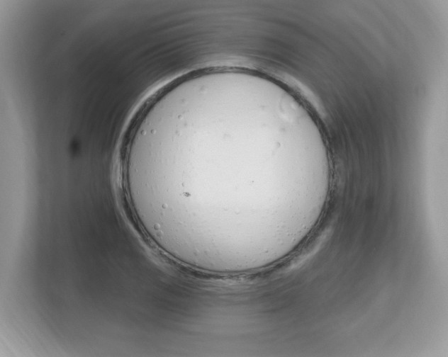 X0000112541125200908171200