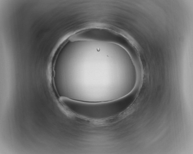X0000112541128200908171200