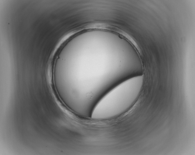 X0000112541131200908171200